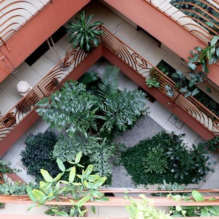 Hotel Martell San Pedro Sula Luaran gambar